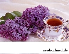 Чай из цветов сирени помогает при эпилепсии