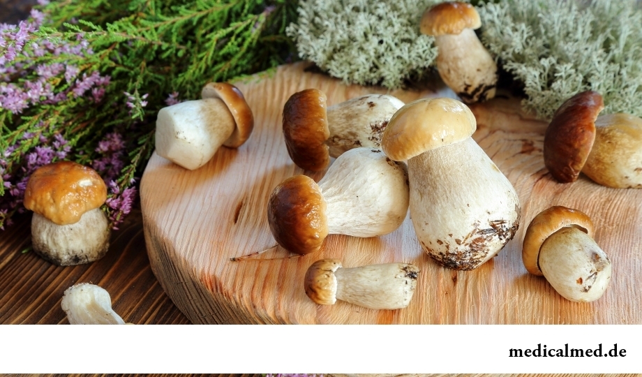 Белые грибы - источник витамина B3