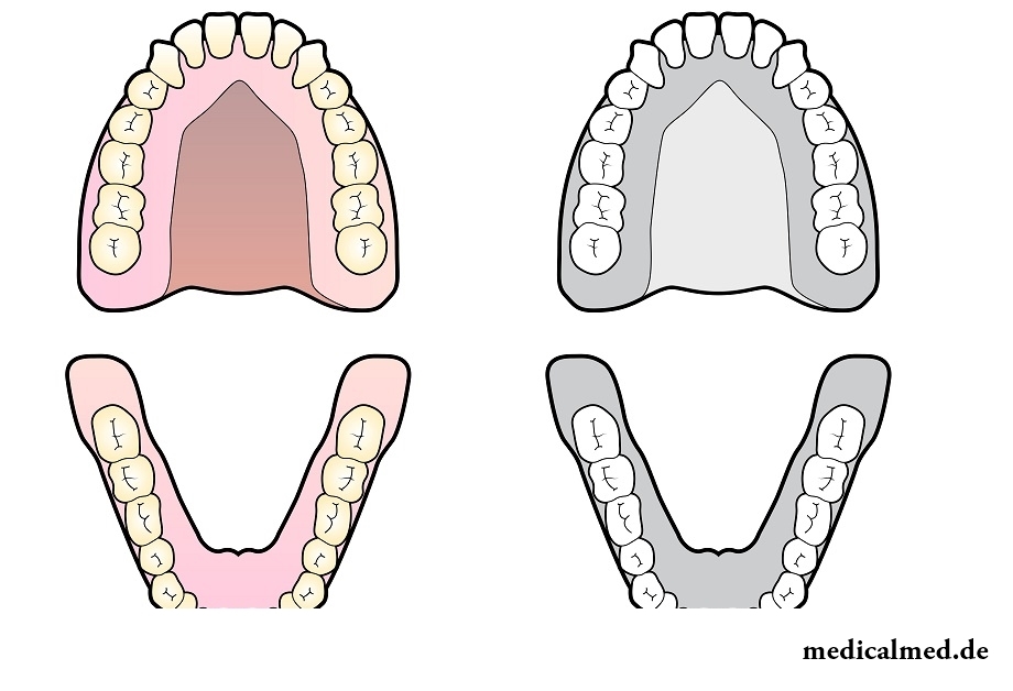 Функции зубов