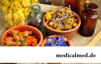 Аптекарский огород: лекарственные растения, которые можно вырастить на даче