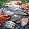 Морепродукты и рыба в нашем рационе